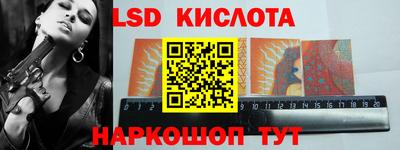 прущие грибы Северобайкальск