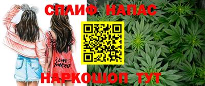прущие грибы Северобайкальск