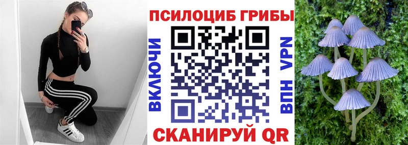 цена наркотик Ртищево кракен рабочий сайт Галлюциногенные грибы Psilocybe